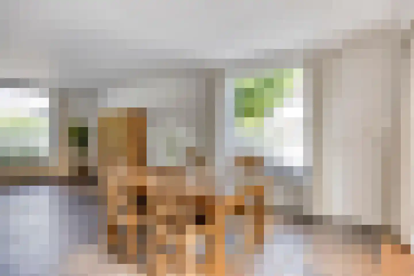 Weidestraat 60 Rosmalen thumbnail 8