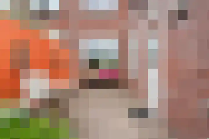 Weidestraat 83 Nijmegen thumbnail 52