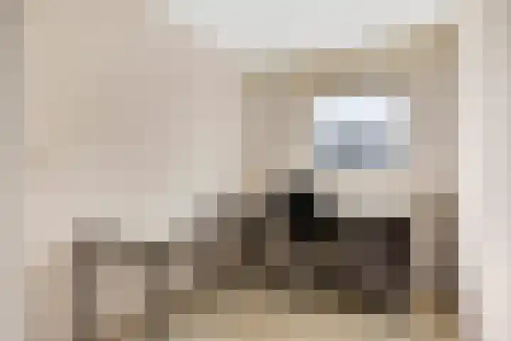 Weidestraat 9 Barsingerhorn thumbnail 14