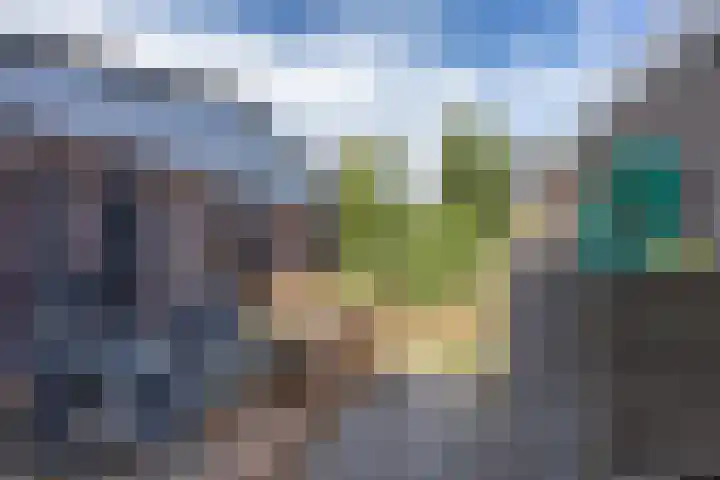 Weidestraat 9 Barsingerhorn thumbnail 22