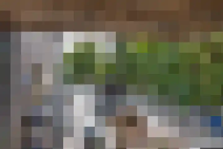 Weidestraat 9 Barsingerhorn thumbnail 24