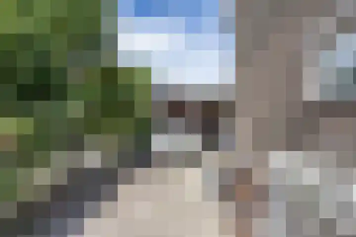 Weidestraat 9 Barsingerhorn thumbnail 25