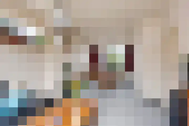 Weidestraat 9 Barsingerhorn thumbnail 7