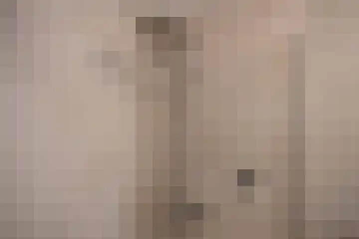 Weidevogellaan 128 Den Haag thumbnail 17