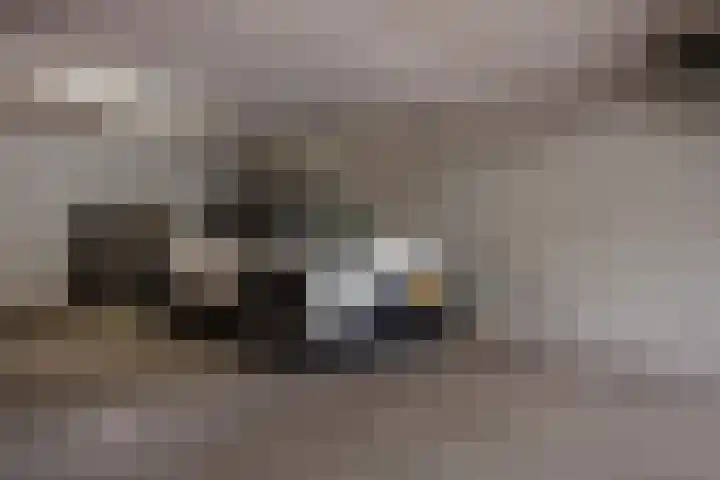 Weidevogellaan 128 Den Haag thumbnail 22