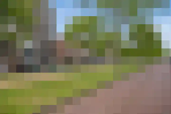 Weidevogellaan 128 Den Haag thumbnail 23