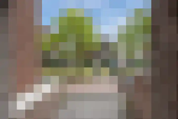 Weidevogellaan 128 Den Haag thumbnail 24