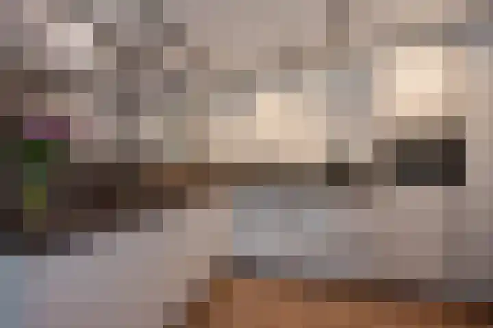 Weidevogellaan 128 Den Haag thumbnail 4