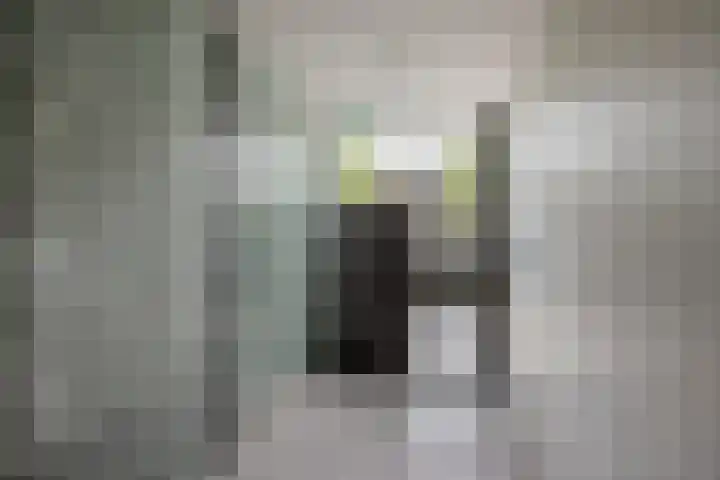 Weidevogellaan 128 Den Haag thumbnail 5