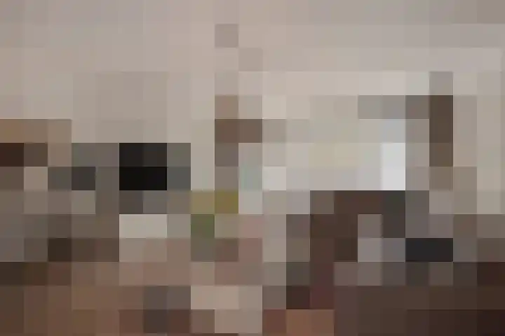 Weidevogellaan 128 Den Haag thumbnail 8