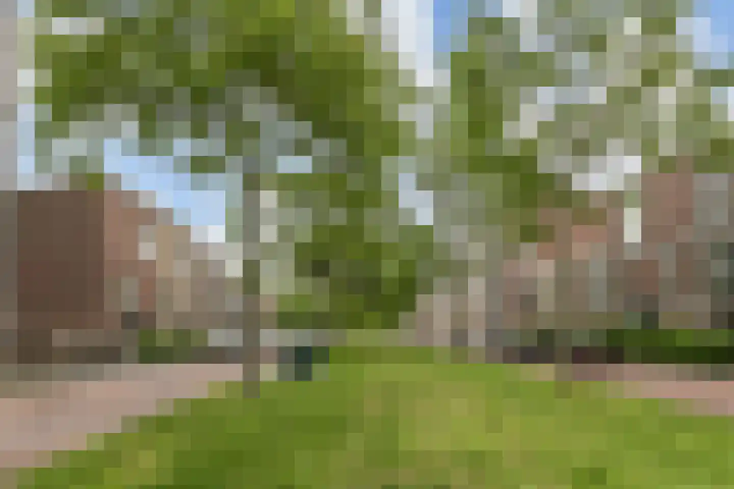 Weidevogellaan 144 Den Haag thumbnail 28