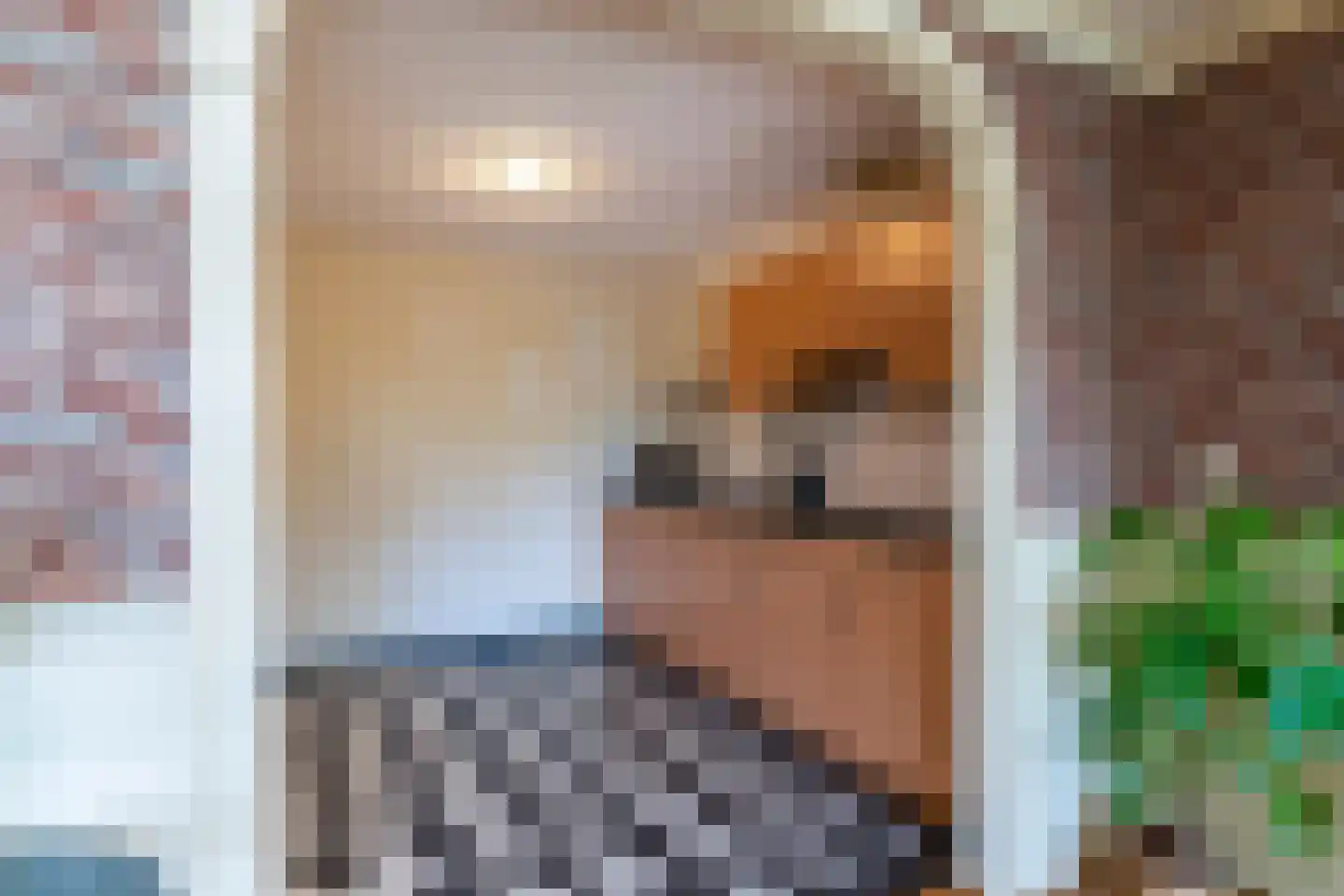 Weidevogellaan 152 Den Haag thumbnail 13