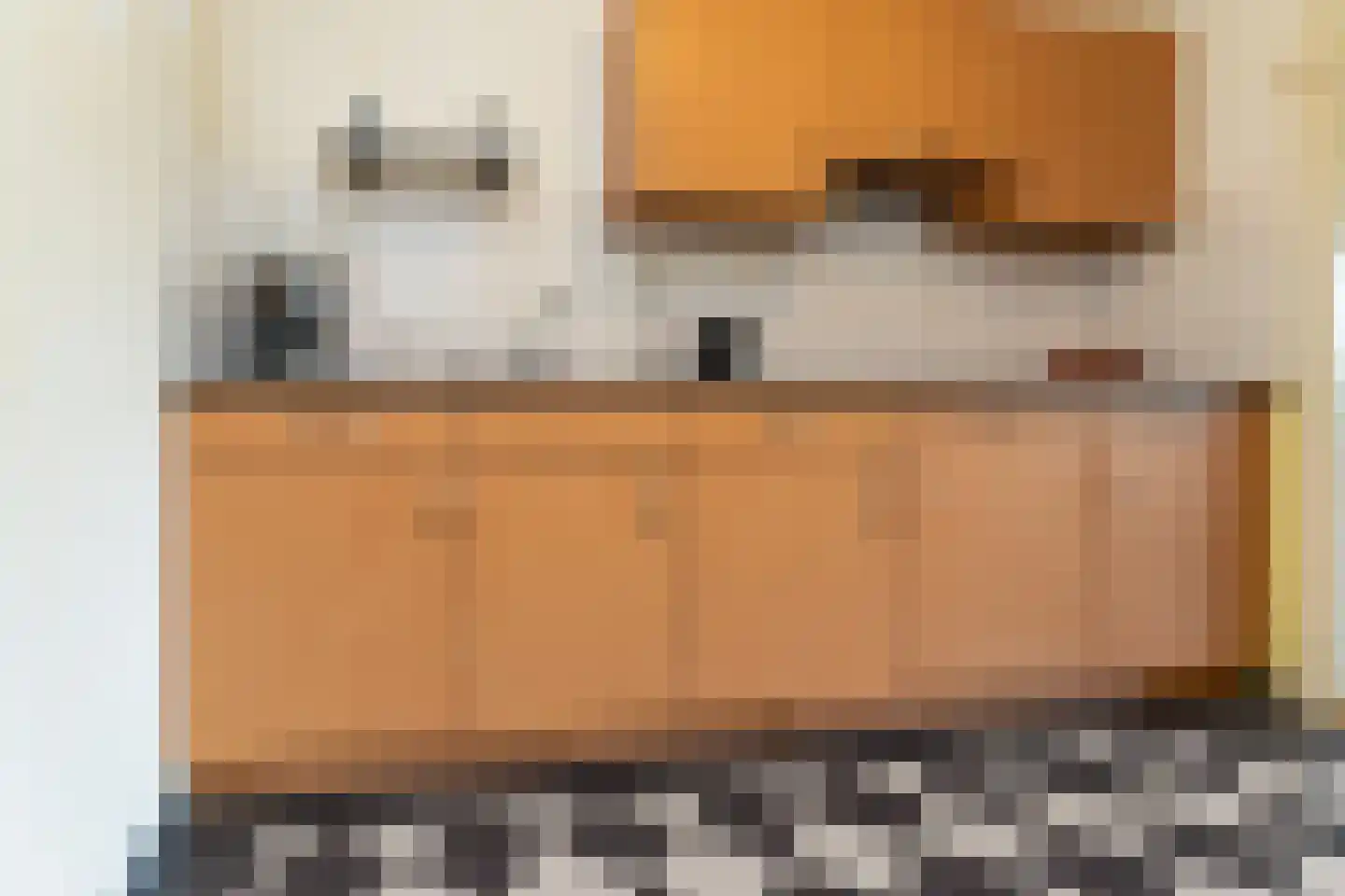 Weidevogellaan 152 Den Haag thumbnail 14