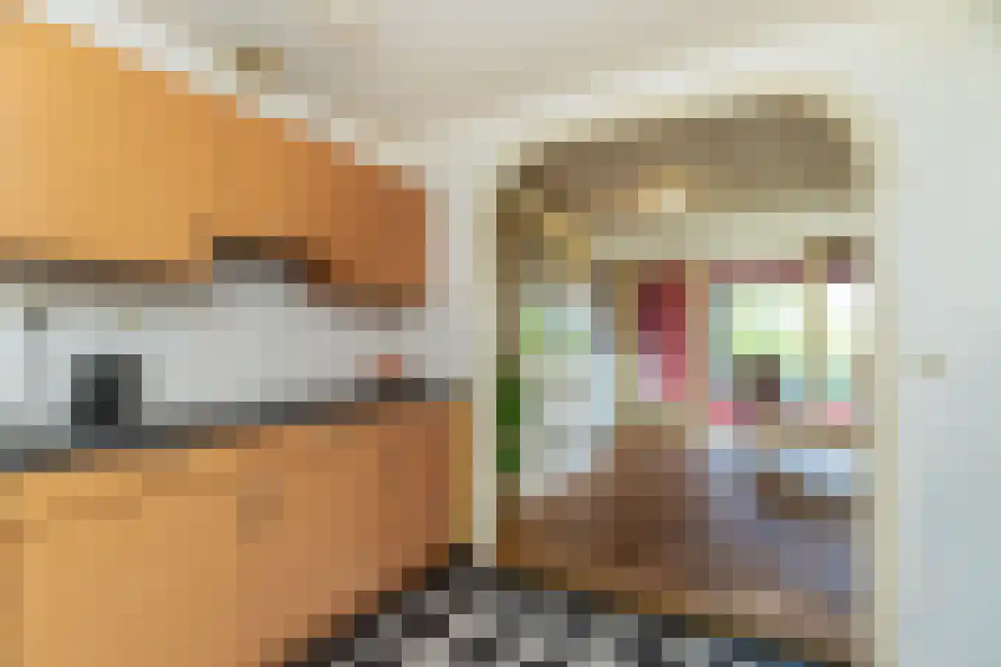 Weidevogellaan 152 Den Haag thumbnail 15