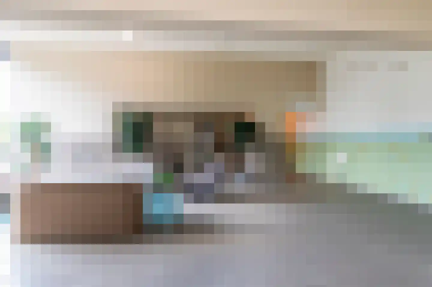 Weidevogellaan 152 Den Haag thumbnail 30