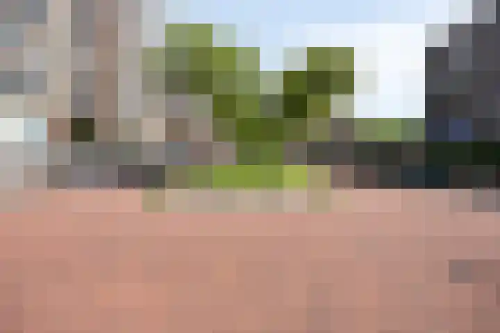Weidevogellaan 176 Den Haag thumbnail 16