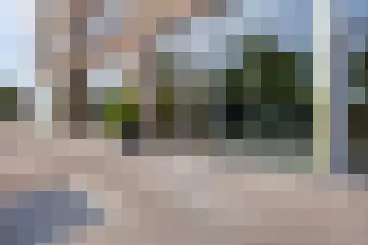 Weidevogellaan 176 Den Haag thumbnail 18
