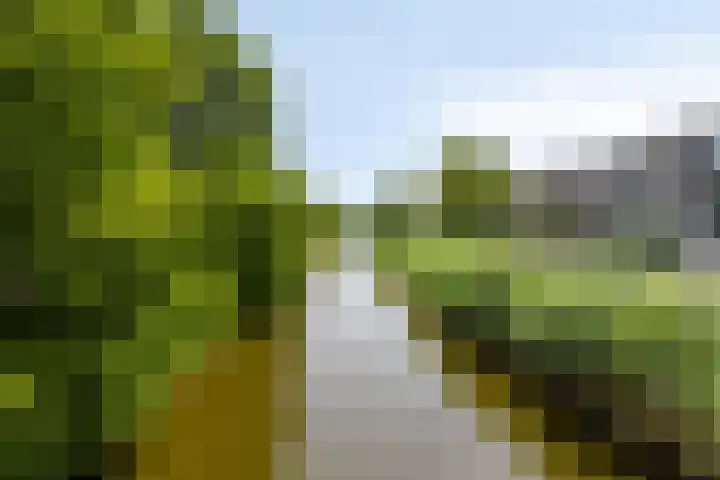 Weidevogellaan 176 Den Haag thumbnail 25