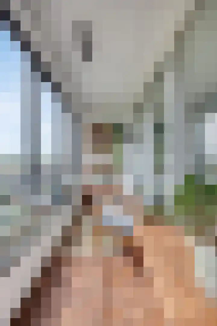 Weidevogellaan 176 Den Haag thumbnail 6