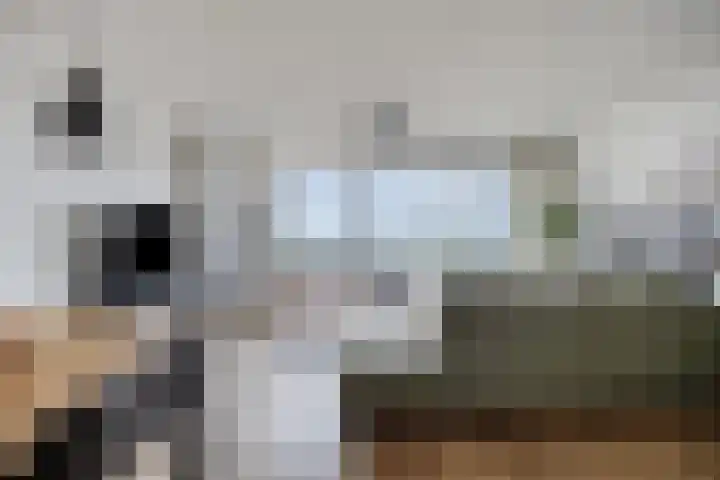 Weidevogellaan 176 Den Haag thumbnail 7