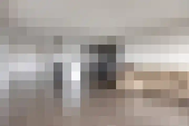 Weidevogellaan 180 Den Haag thumbnail 10