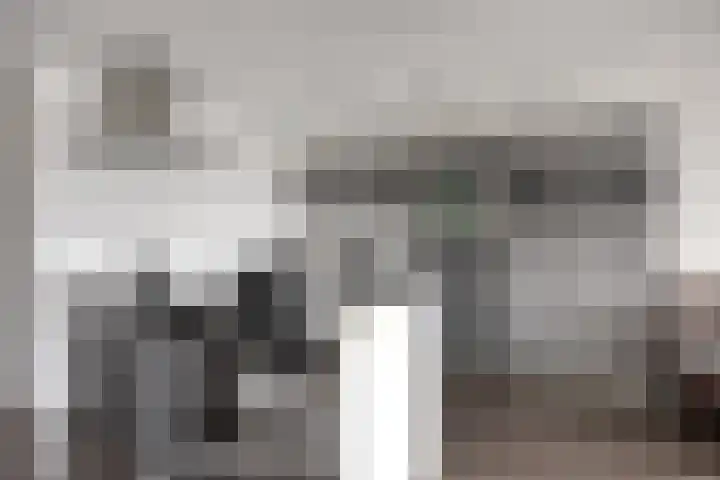 Weidevogellaan 180 Den Haag thumbnail 12