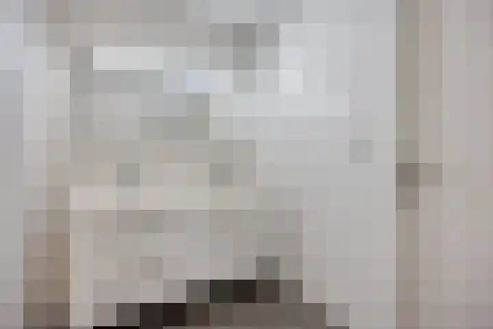 Weidevogellaan 180 Den Haag thumbnail 17