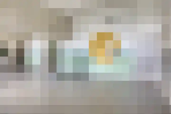 Weidevogellaan 180 Den Haag thumbnail 6