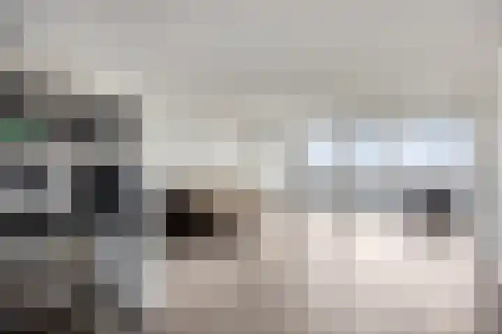 Weidevogellaan 180 Den Haag thumbnail 9
