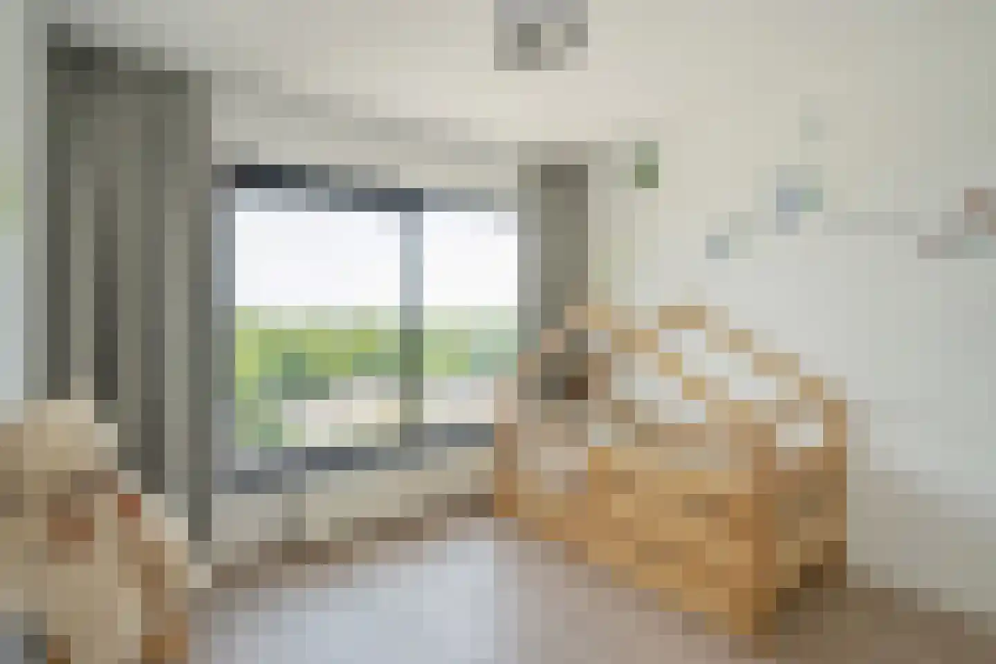 Weidevogellaan 192 Den Haag thumbnail 20