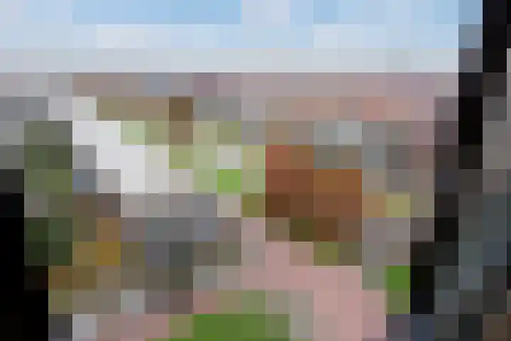 Weidevogellaan 208 Den Haag thumbnail 15