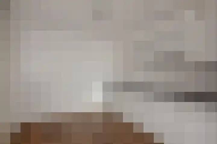 Weidevogellaan 208 Den Haag thumbnail 17