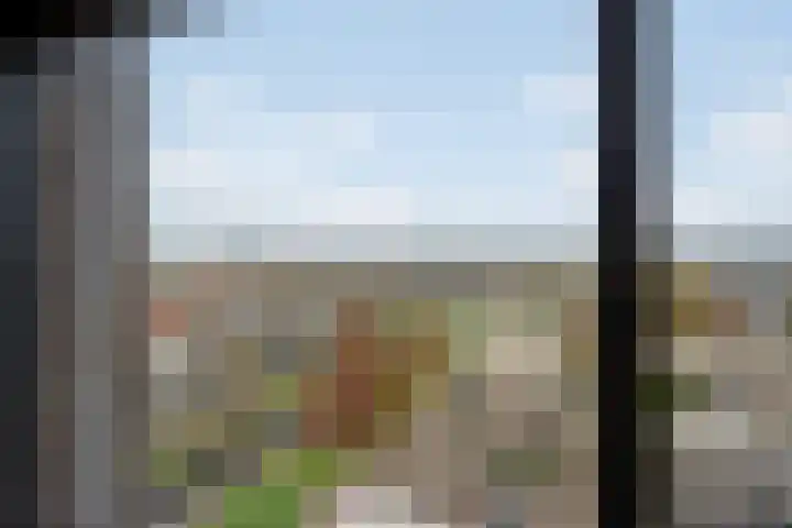 Weidevogellaan 208 Den Haag thumbnail 23