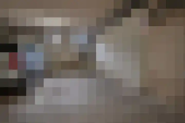 Weidevogellaan 208 Den Haag thumbnail 26