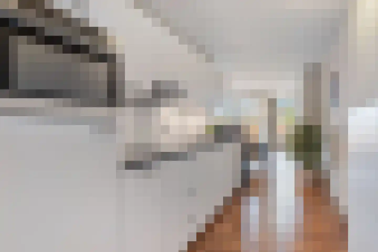 Weidevogellaan 252 Den Haag thumbnail 23