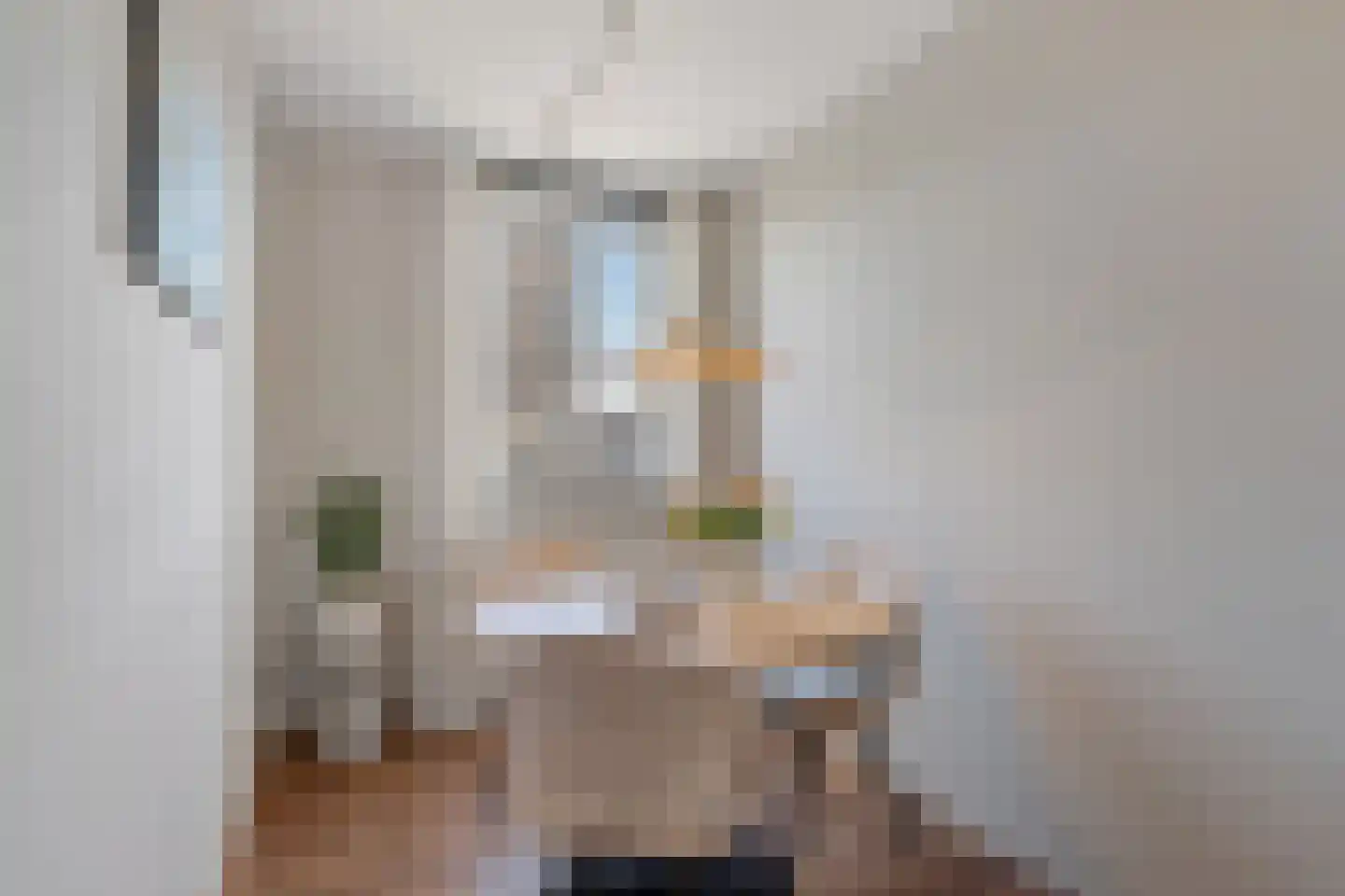 Weidevogellaan 252 Den Haag thumbnail 25