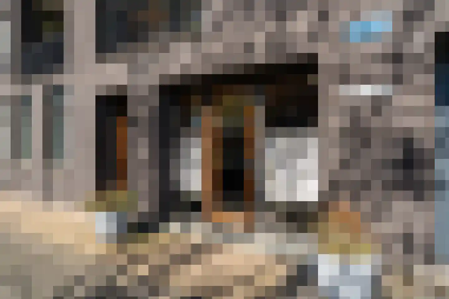 Weidevogellaan 252 Den Haag thumbnail 8