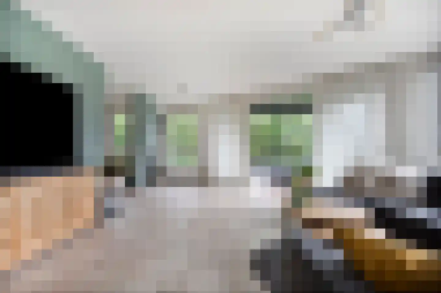 Weidevogellaan 285 Den Haag thumbnail 4