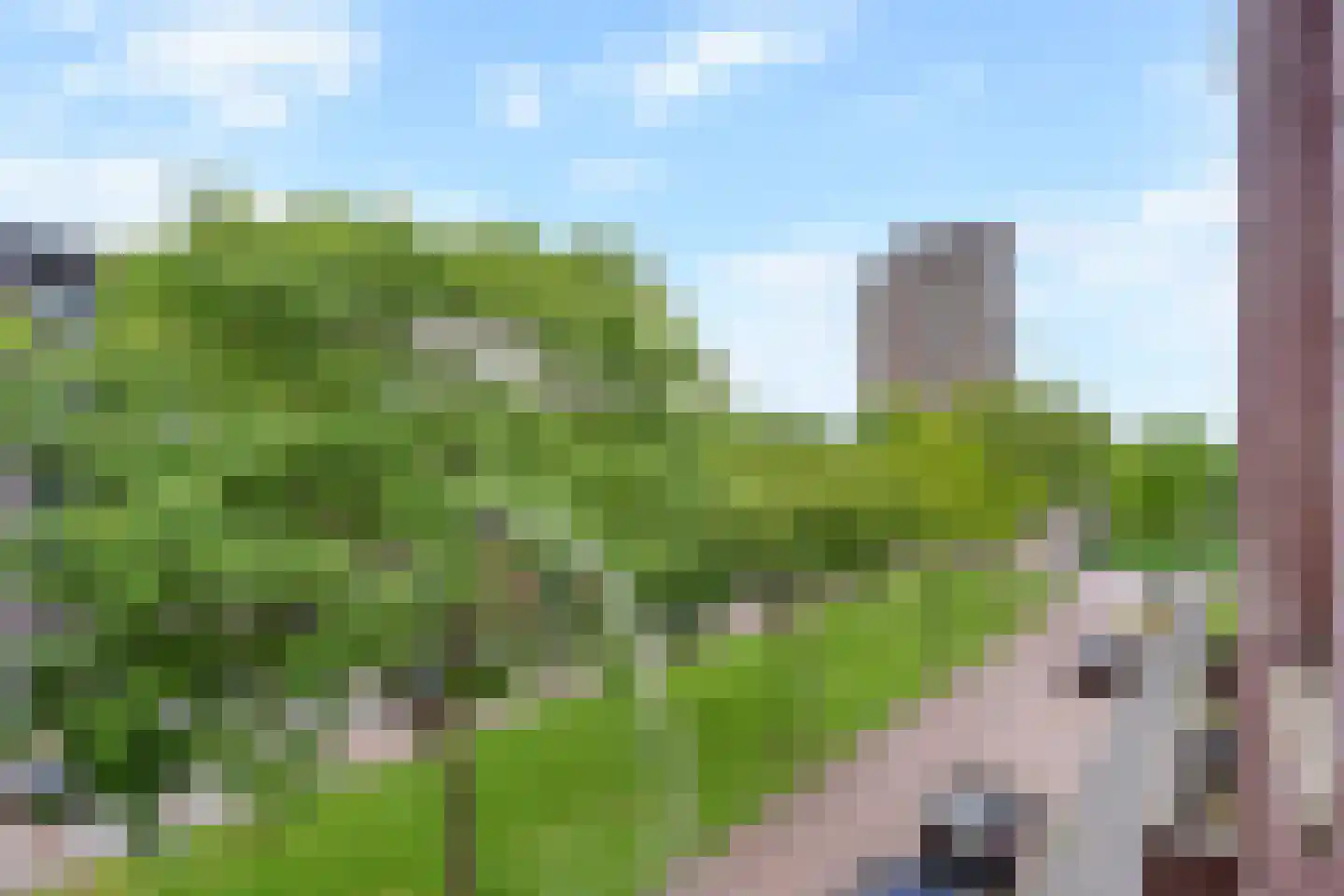 Weidevogellaan 285 Den Haag thumbnail 9
