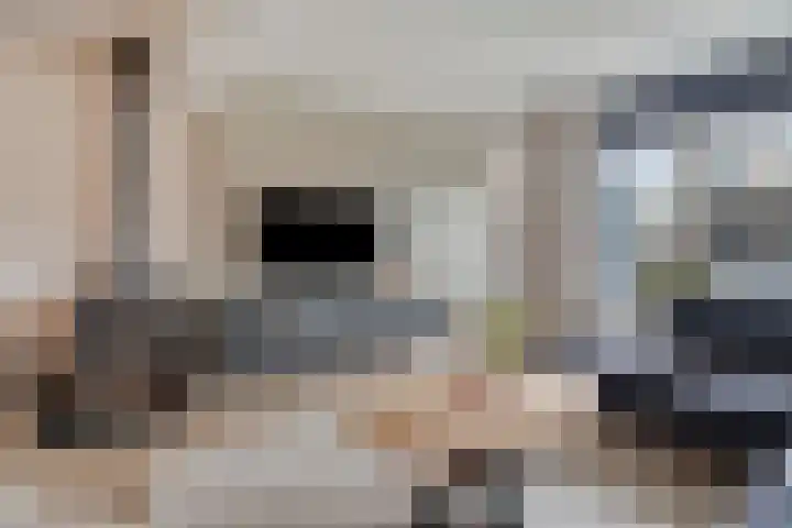 Weidevogellaan 30 Elburg thumbnail 10