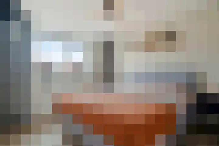 Weidevogellaan 30 Elburg thumbnail 26