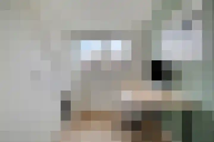 Weidevogellaan 30 Elburg thumbnail 30