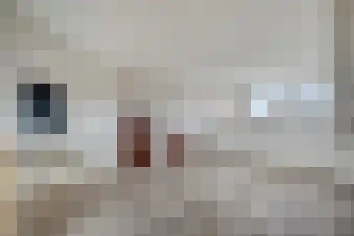 Weidevogellaan 30 Elburg thumbnail 34