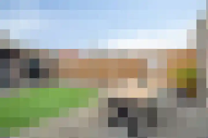 Weidevogellaan 30 Elburg thumbnail 36