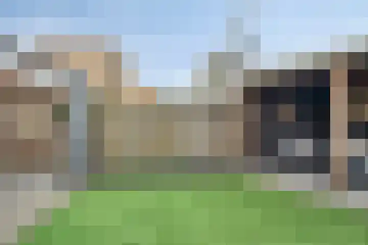 Weidevogellaan 30 Elburg thumbnail 39