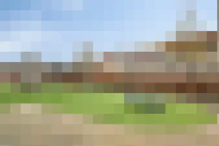 Weidevogellaan 30 Elburg thumbnail 46