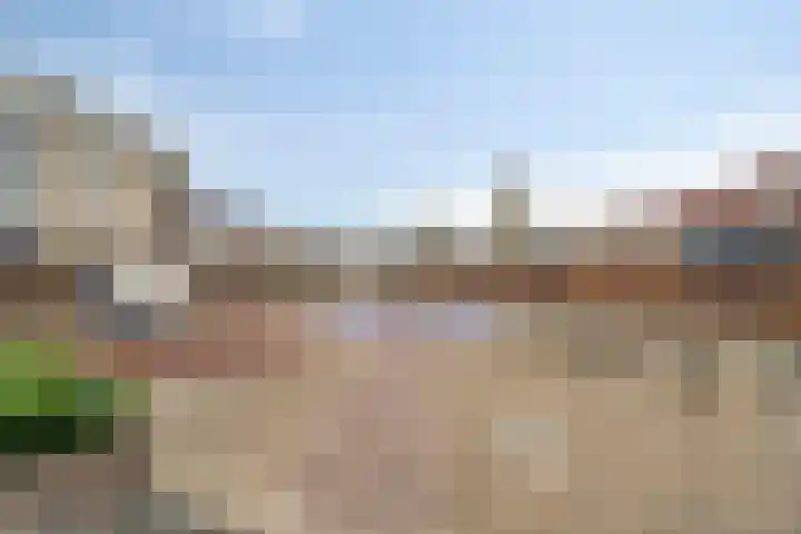 Weidevogellaan 30 Elburg thumbnail 47