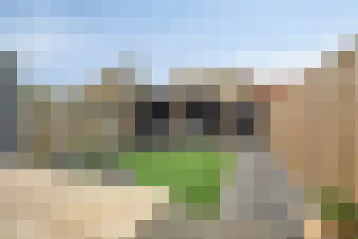 Weidevogellaan 30 Elburg thumbnail 5