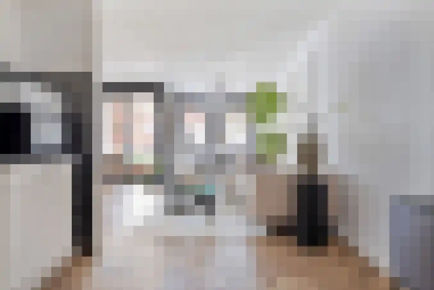Weidevogellaan 312 Den Haag thumbnail 11