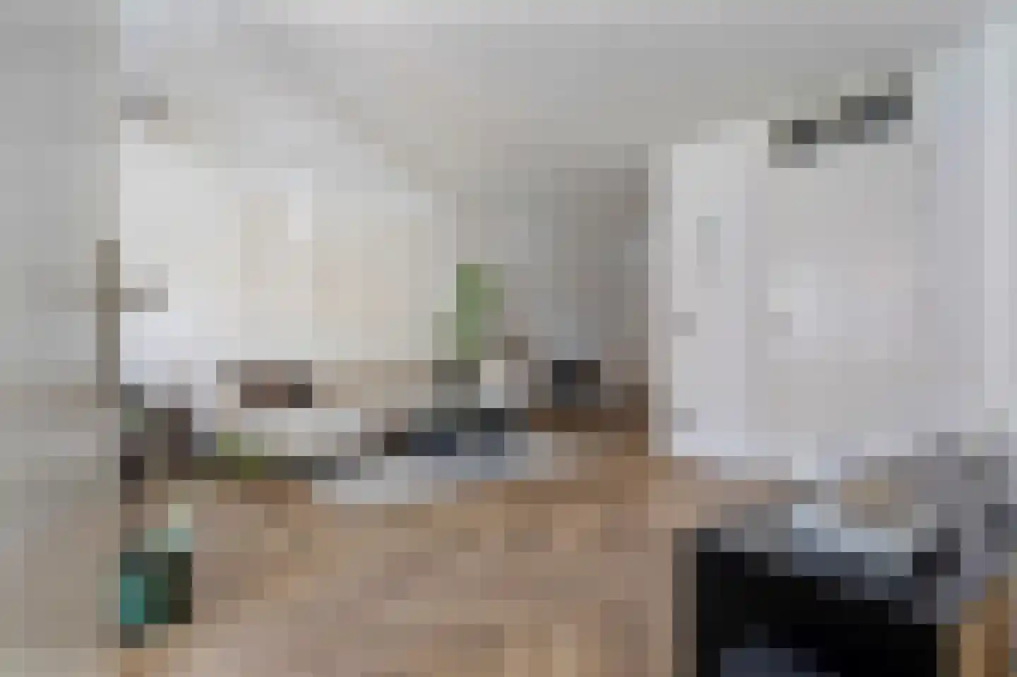 Weidevogellaan 312 Den Haag thumbnail 15